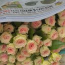 송도 비스트로 이미지