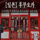 [실천학교] 배워서 일본속으로 | [후쿠오카 2박 3일] 엄마 맘에 쏙 들었던 1일차 맛집·숙소 총정리