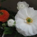 만리향 - 서초구 서초중앙로2길 37 | 만리향