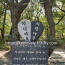 상림오토바이
