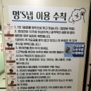 호텔멍 | Mung’s Nap 멍스냅 애견카페&amp;호텔 내돈내산 방문후기