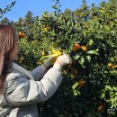 소남농장 이미지