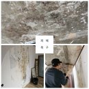 전주 우정맨션 3층 누수 피해복구 - 천장과 벽 곰팡이 제거