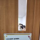 회야초등학교 이미지