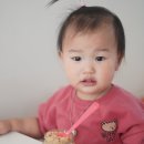 엠디에스오케이유통롯데 | 유아식언제부터 17개월 아기 영양있게 먹이는 식단