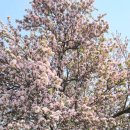 충렬사역 1번출구 이미지