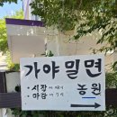 가야밀면농원