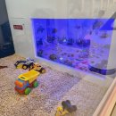 노리파크 철원점 이미지