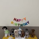 글로리 애견 유치원 이미지