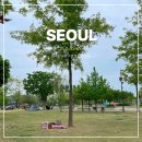 반포한강공원 분수 일정 배달존 반포 한강 밤도깨비 야시장
