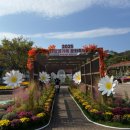 대장경기록문화축제 이미지