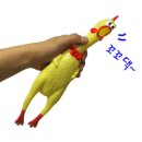 꼬꼬닭 이미지