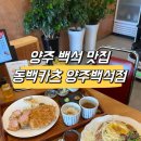 세븐일레븐 백석나들점 | [양주 백석 맛집] 돈까스 파스타 종류 다양하고 맛있는 동백가츠 양주백석점