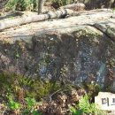 억불샘약수터 이미지