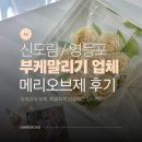 11530-03-02 | 신도림 영등포 부케말리기 선물 업체 메리오브제 제작 후기