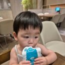 숲골목장 | [내돈내산]12개월 아기 짜먹는요거트 룩트 킨디