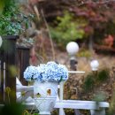 장동펜션 이미지