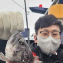 낚시) 4월에 오이도에서 하는 배낚시 후기