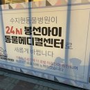 봉선동물병원 네이버블로그