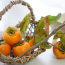 나무메디 이미지