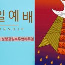 강림전자