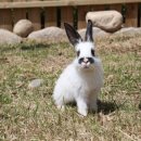 켄싱턴평창 이미지