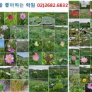광명대한간호학원