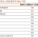 복싱아레나 이미지
