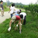별망중학교 이미지
