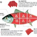 청참치 네이버블로그