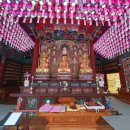 대웅자원 | 2025.12.29. 2-1. 군위 인각사 &amp; 학소대