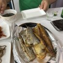 수라원 | 서천 씨나인무인텔/근처 청개구리 식당/서천 수라원 추천 내돈내산 솔직후기