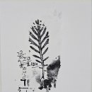 캘리그라피(추가모집) 이미지