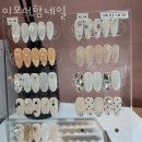 미모더함 이미지
