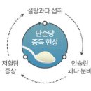 설탕을 많이 먹지 말아야 할 이유 총정리 (설탕과다섭취)/1인당 당류 섭취량 이미지