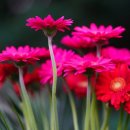 미사강변전문공인중개사사무소 이미지