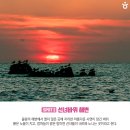 영종도·용유도 Daum카페