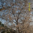 체육공원역 이미지