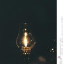 클로리스 이미지