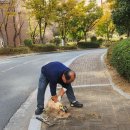 관리사무소 작업내용(11/3~11/7) 이미지