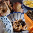 통영다찌 이미지