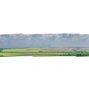 카페바트 이미지