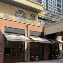 인천 수건케이크 카페 마룬스위트 두바이쿠키까지 먹고 온 후기