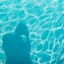 호헤 경주 이미지