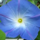 헤븐리 - 춘천시 순환대로 1156-20 | 헤븐리