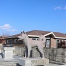 완주체육관 이미지