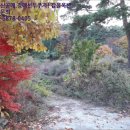 수룡보건진료소 이미지