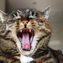 하남중앙약국 이미지