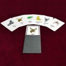 주식회사 프리딕션 이미지