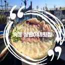 명산활어 | 속초 회 설악산 입구 설악항 맛집 상원이네횟집